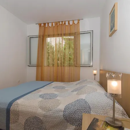 55 بريغراديكا